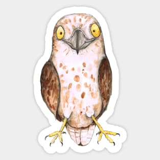 Cute hawk Sticker